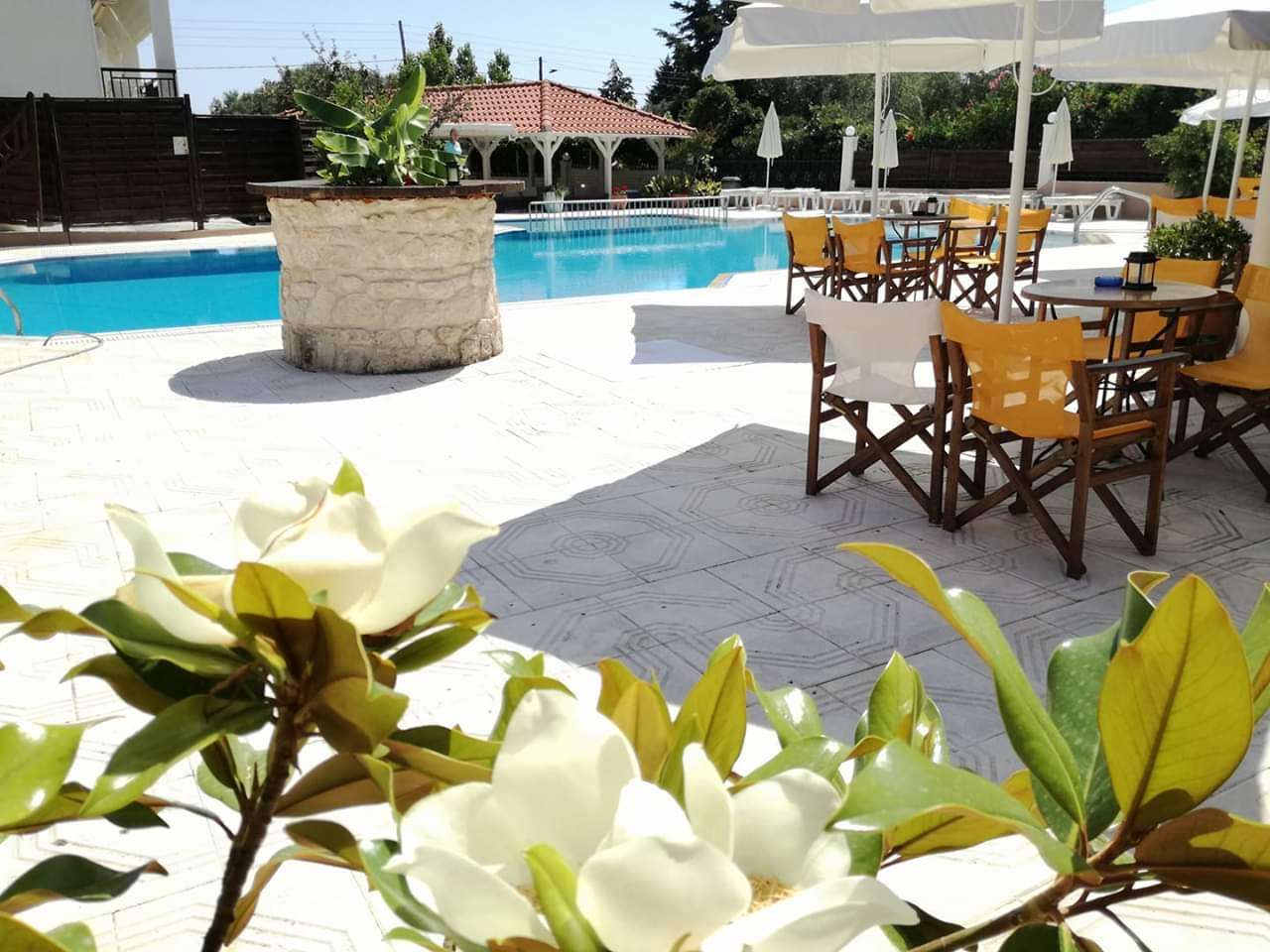 Tiara Holidays - Leonidas Apartments & Suites - bar